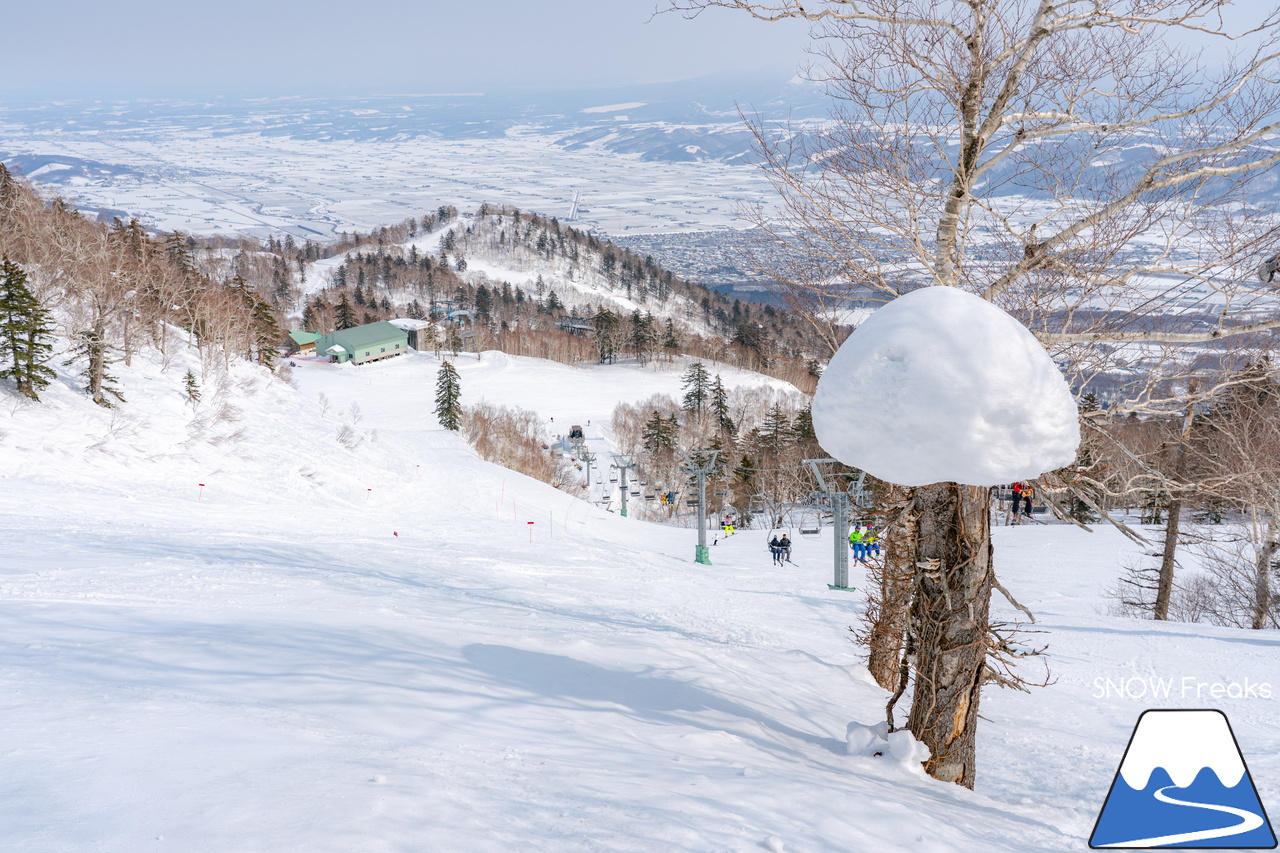 富良野スキー場｜2022-2023シーズンの『北の峰ゾーン』の営業は、3月21日（火・祝）まで。心ゆくまでロング滑走を楽しみましょう♪